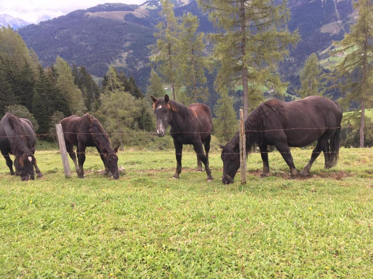 Lindbichlhof Urlaub Am Bio Bauernhof *