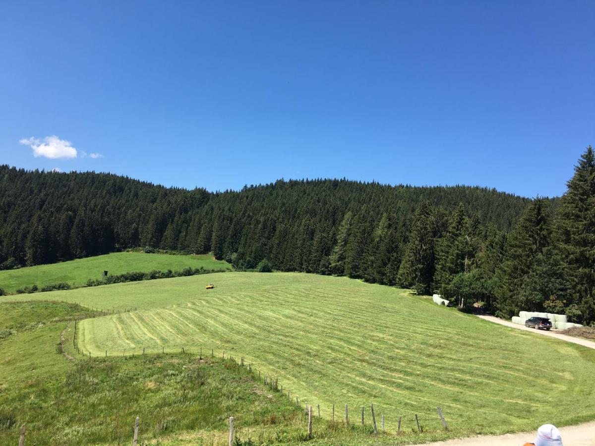 Lindbichlhof Urlaub Am Bio Bauernhof Apartment *