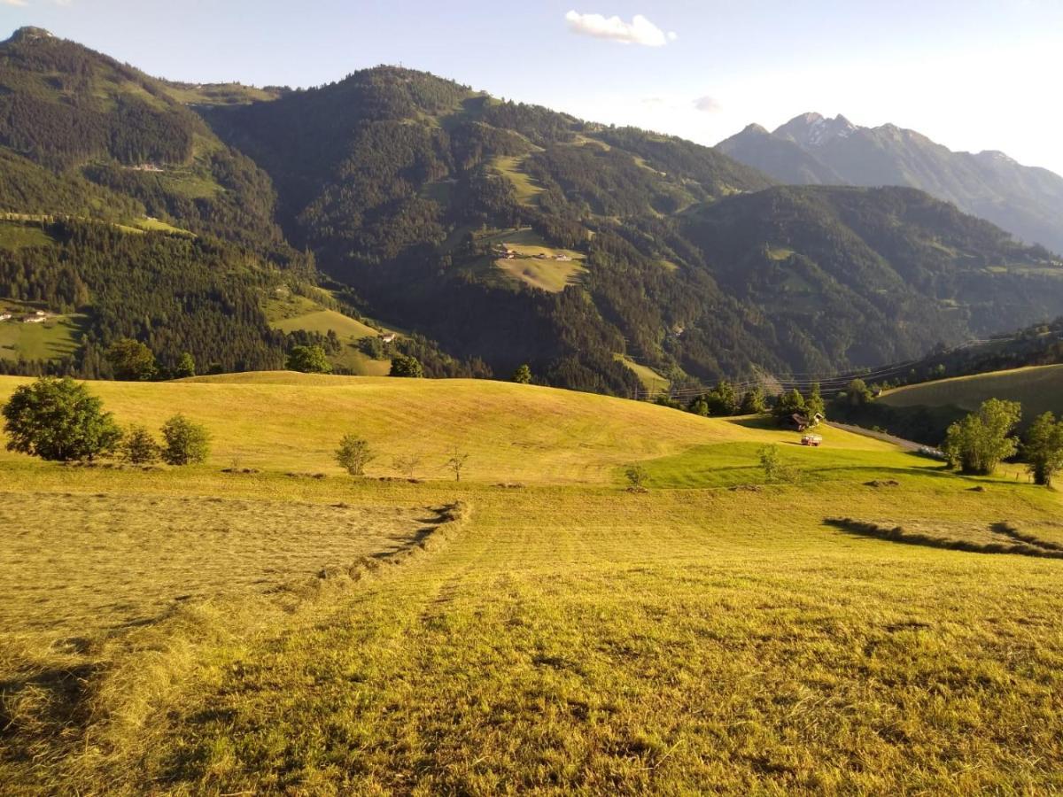 Lindbichlhof Urlaub Am Bio Bauernhof Apartment *