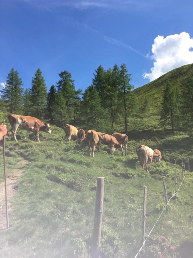 Lindbichlhof Urlaub Am Bio Bauernhof Sankt Johann im Pongau
