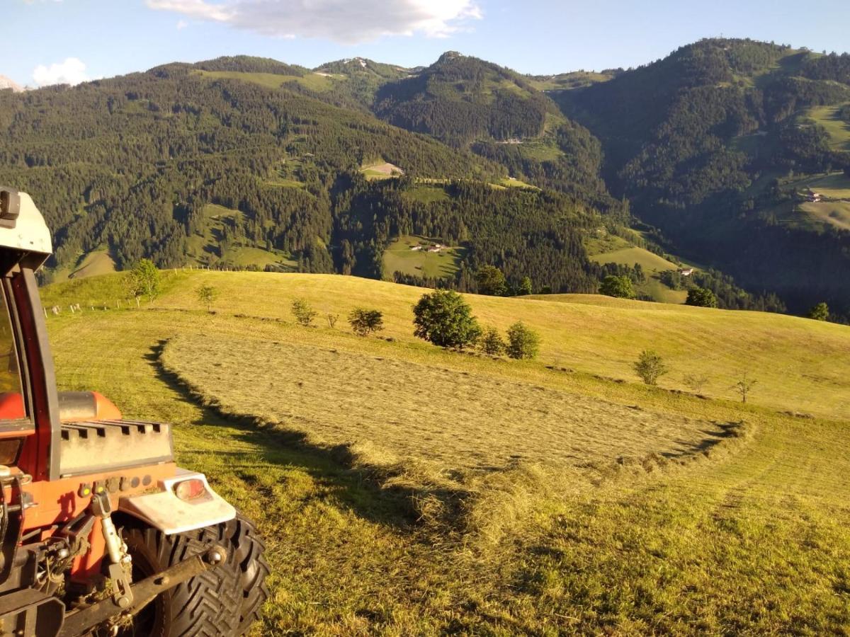 Lindbichlhof Urlaub Am Bio Bauernhof * Sankt Johann im Pongau
