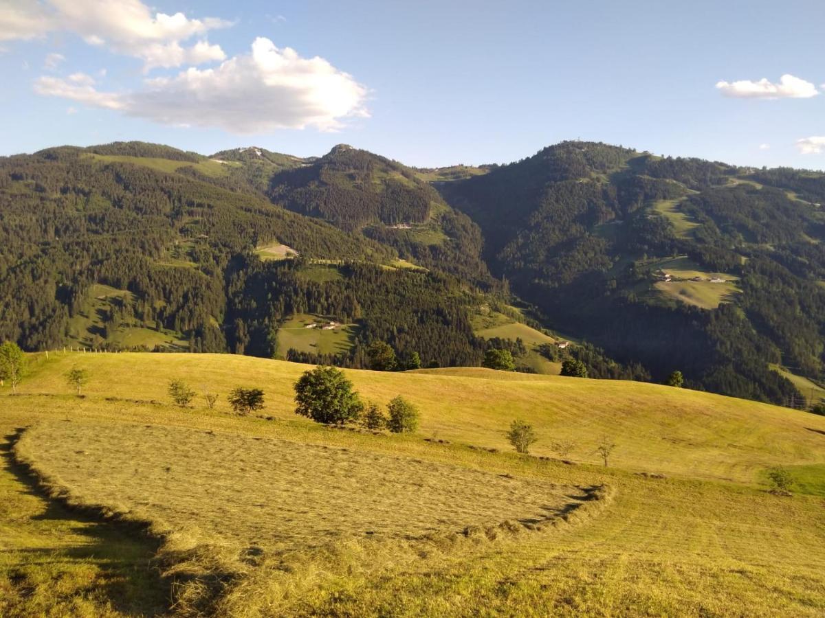 Apartment Lindbichlhof Urlaub Am Bio Bauernhof
