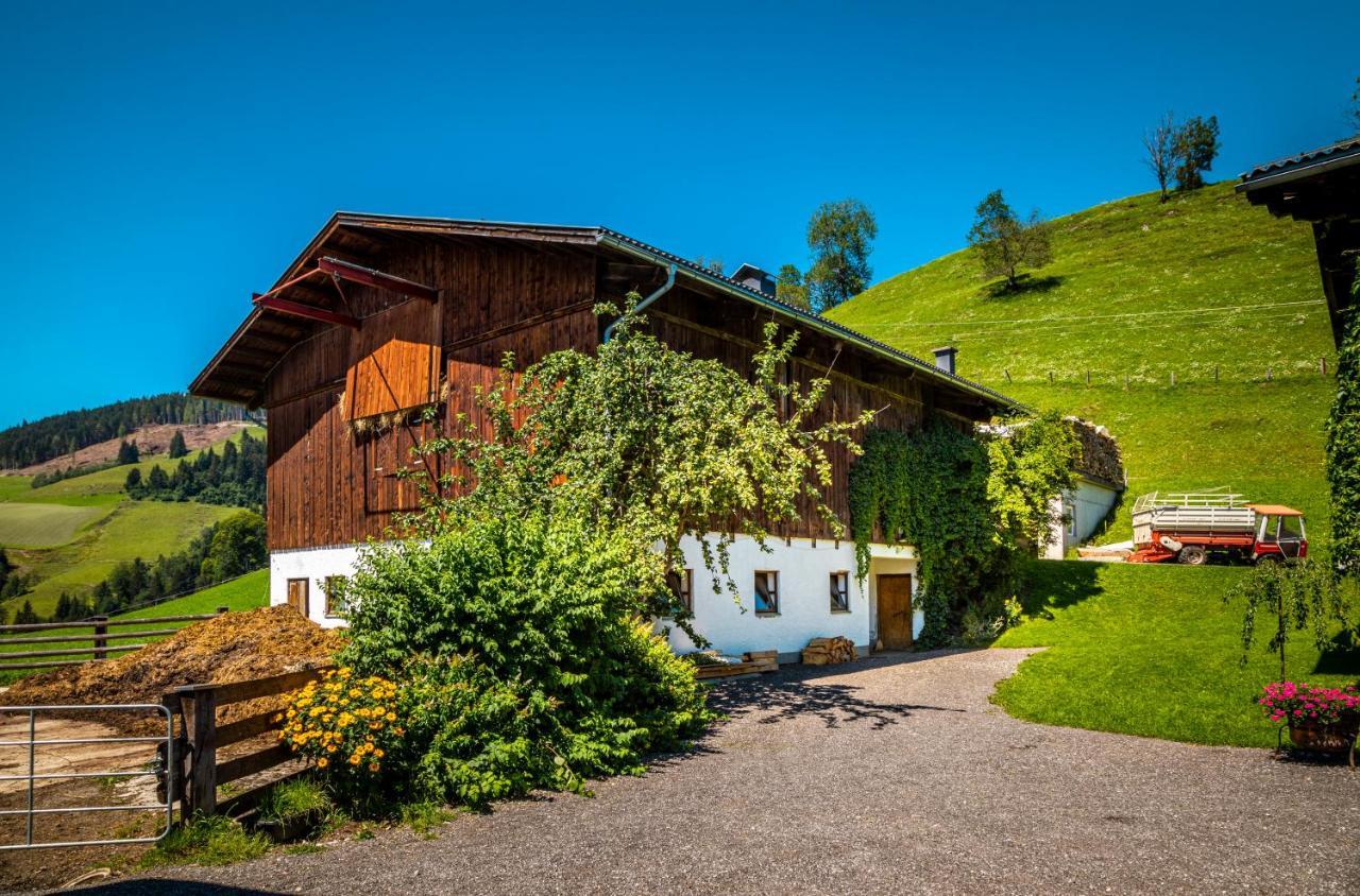 Apartment Lindbichlhof Urlaub Am Bio Bauernhof Sankt Johann im Pongau