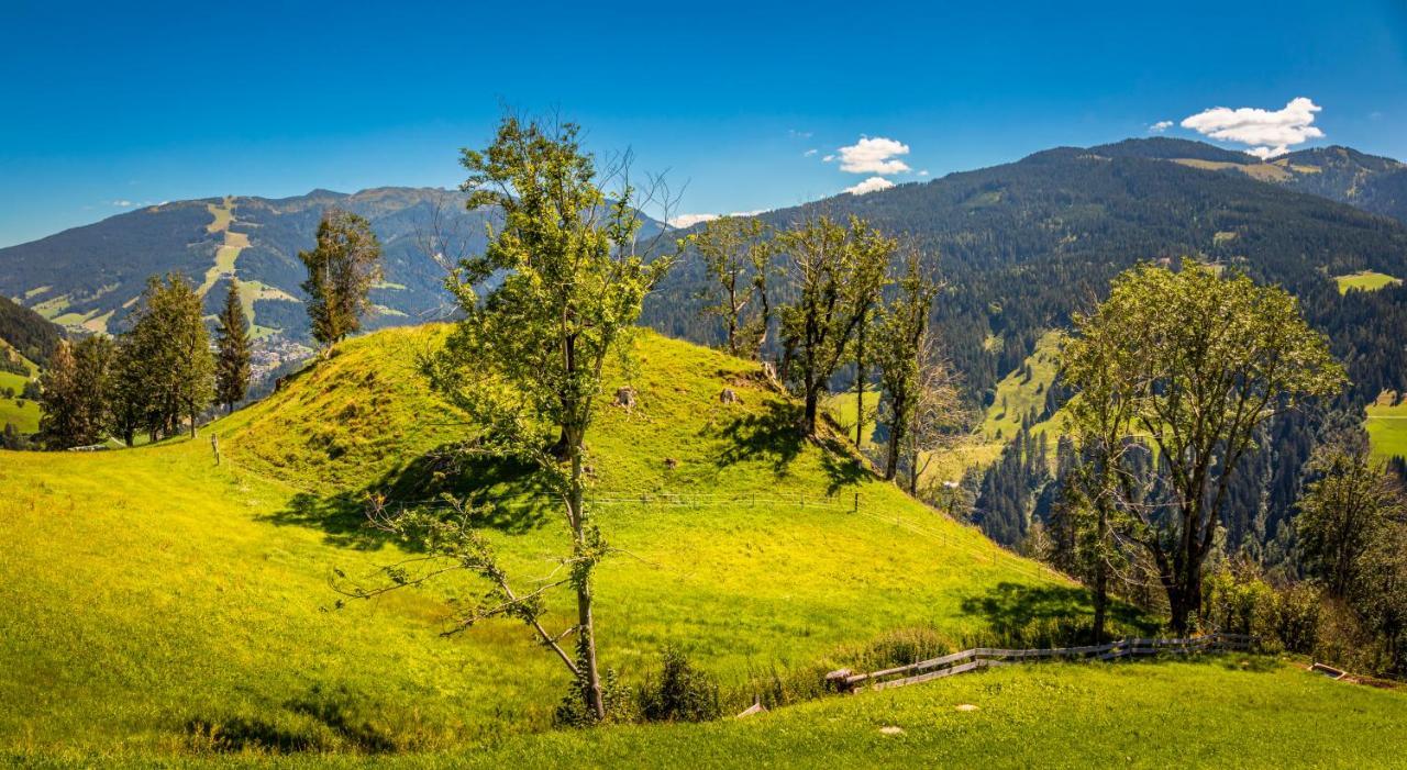 Lindbichlhof Urlaub Am Bio Bauernhof