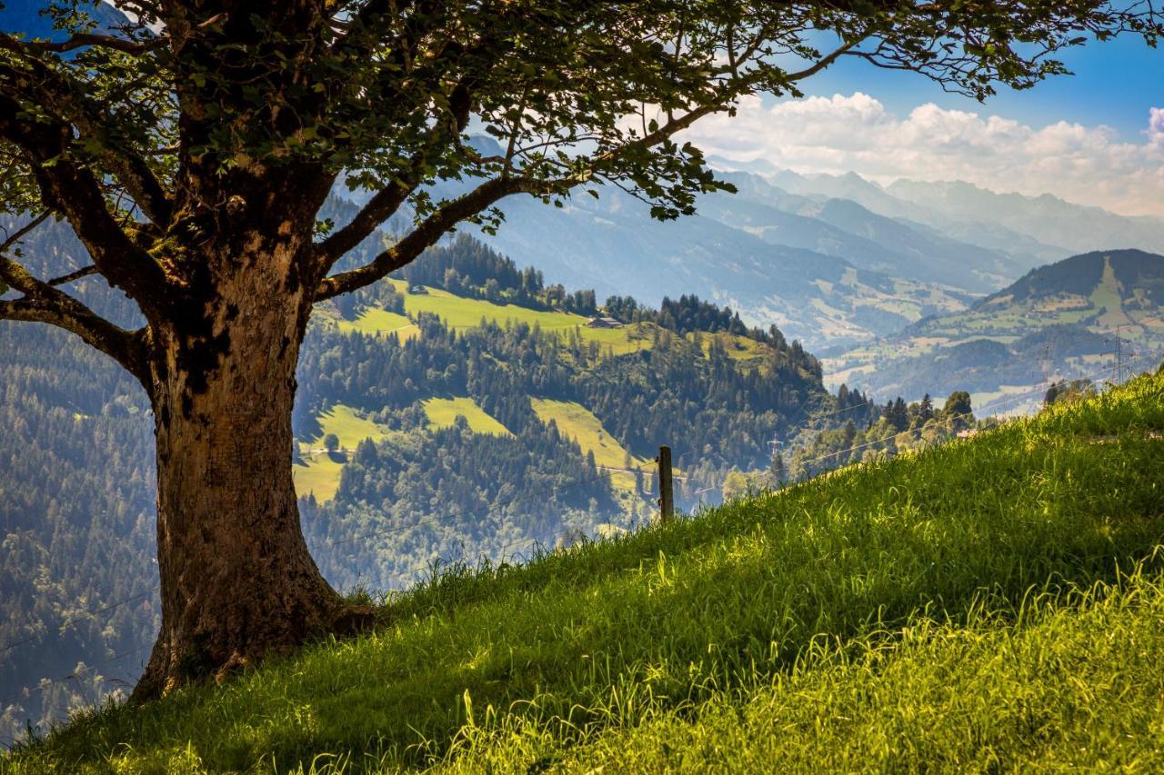 Lindbichlhof Urlaub Am Bio Bauernhof Apartment *